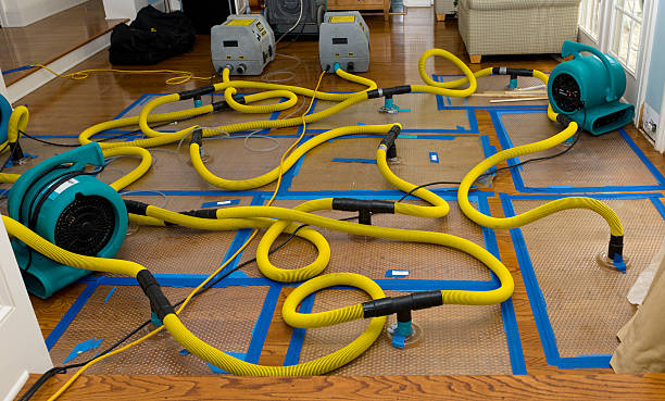 Professional Water Damage Repair technician working in East Wareham, MA